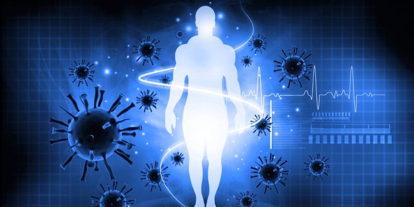 Immune System Health