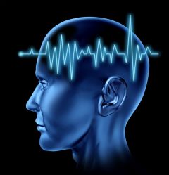 imrs2000 brain waves